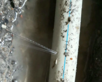 兴和卫生间测漏水多少钱